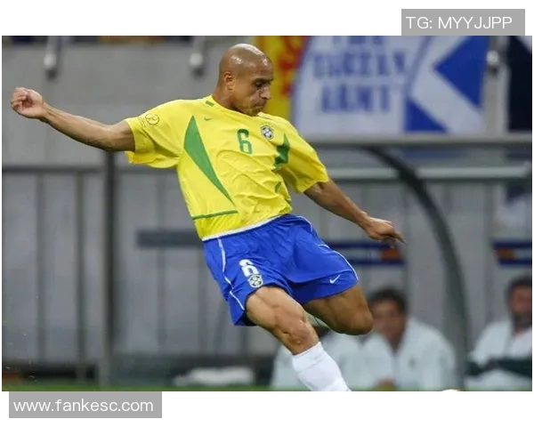 绿茵巨星风采录全面展示世界足球传奇人物