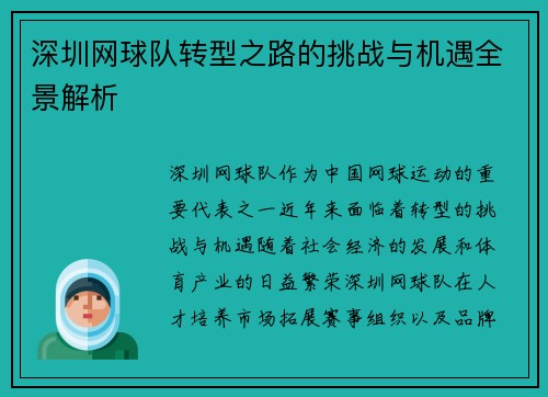 深圳网球队转型之路的挑战与机遇全景解析