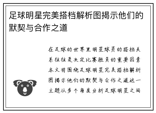 足球明星完美搭档解析图揭示他们的默契与合作之道